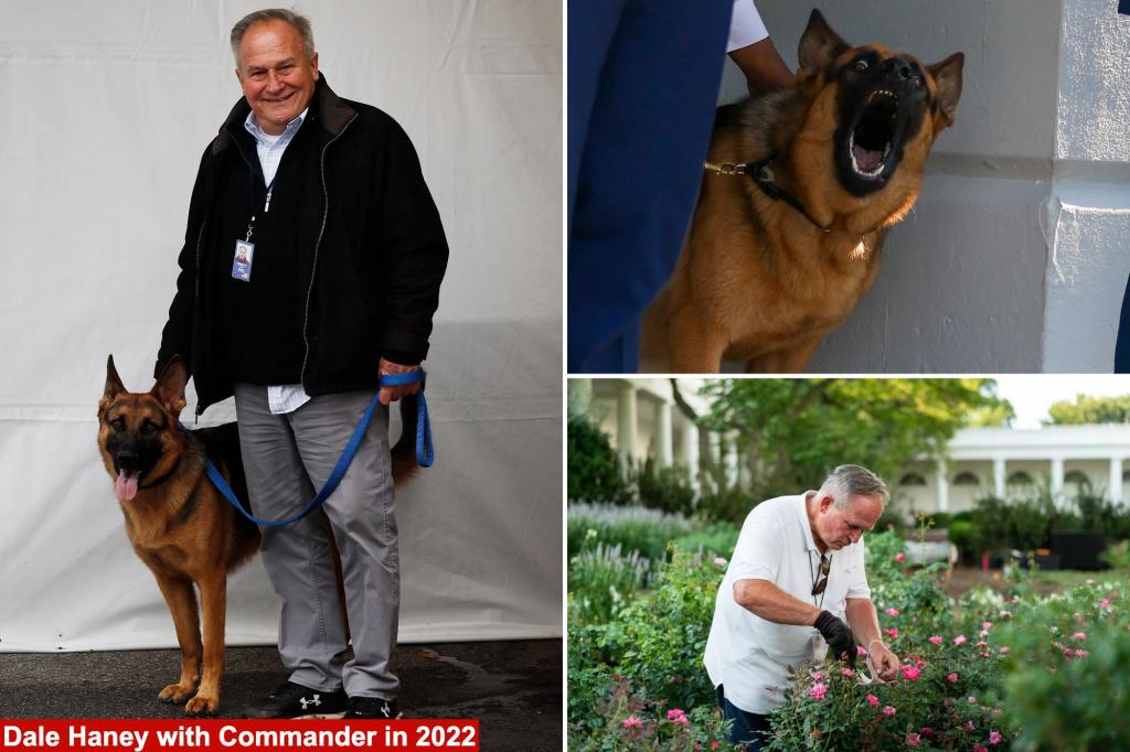 Biden's dog Commander caught on camera biting gardener, despite claims dog only bites Secret Service