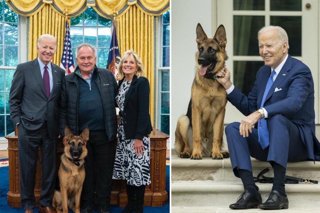 Biden's dog, commander, kicked out of White House 'hostile' as staff sound alarm over more attacks: 'We need to talk'