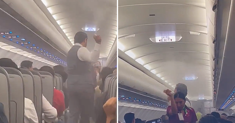 Bite-Mare!  Swarm of mosquitoes takes over a plane in Mexico, the cabin crew defends themselves with aerosols