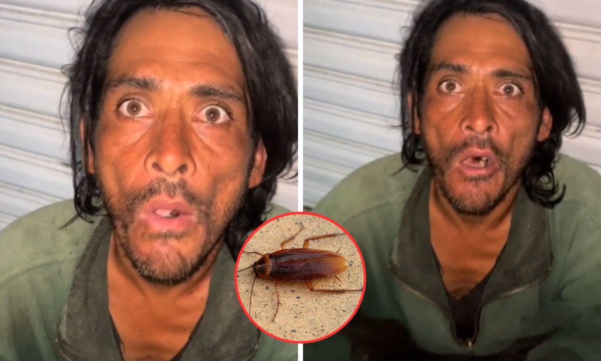 Un hondureño protagonizó un escalofriante video que se volvió tendencia en redes sociales en el que mastica un insecto como si nada.