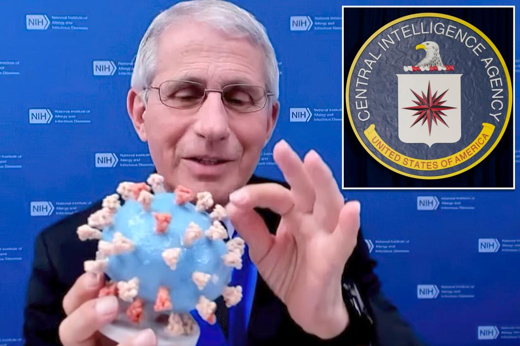 Fauci secretly went to CIA headquarters to 'influence' investigation into COVID-19 origins, House Republican alleges