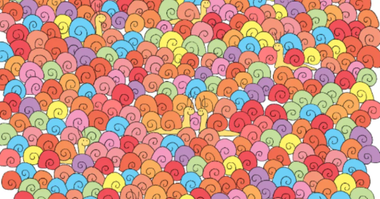 Find the heart hidden among the snails in this optical illusion