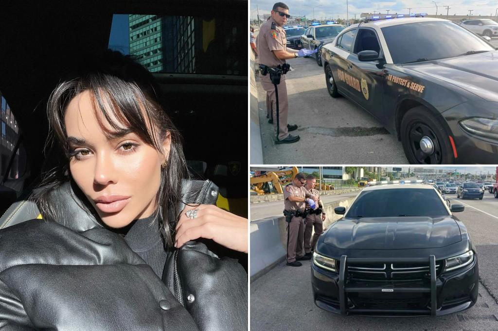 Florida influencer arrested for tricking Dodge Charger into looking like a police cruiser