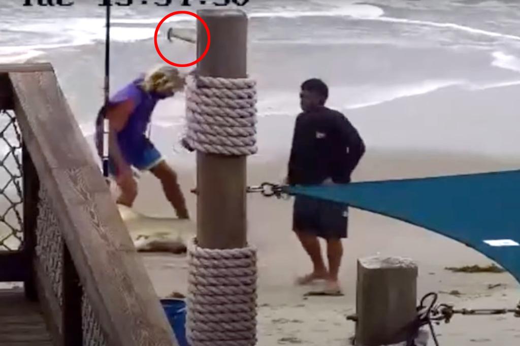 Florida man who beat lemon shark to death must take fishing lessons