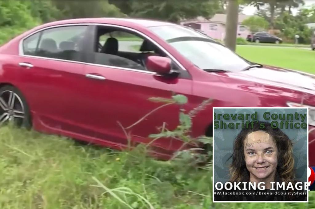 Florida woman beat her mother, stole her car, then hit her with it: cops
