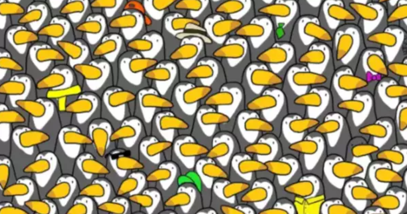 Intelligence test with optical illusion: you will have hawk eyes if you can find the hidden penguin in 9 seconds