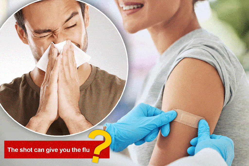 Heading into the new flu season, some myths should be dispelled about the bug.