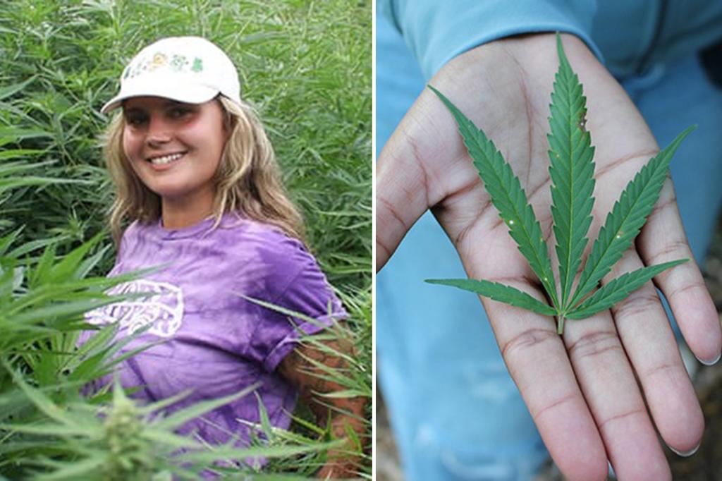 New Jersey college has growing hemp farm, cannabis is less