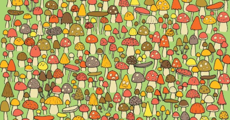 Optical illusion: find the mouse hidden among the mushrooms