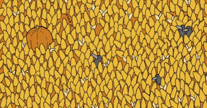 Optical illusion: find the pear and the hamster hidden in the corn