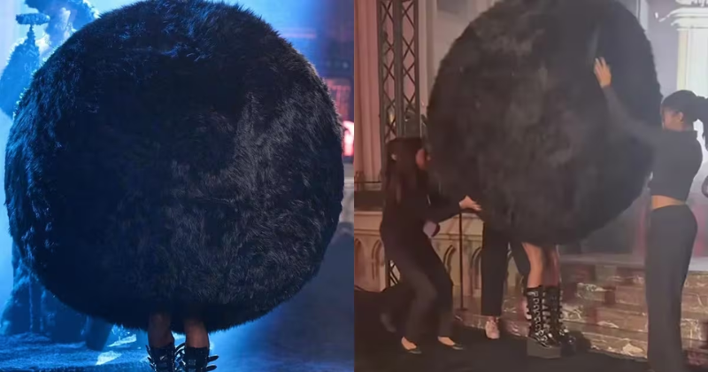 Paris Fashion Week: Model dressed as a fur ball gets lost on the catwalk, the video will make you laugh