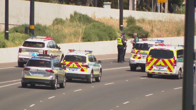 Pedestrian killed in truck crash on Adelaide Southern Highway