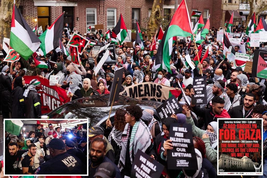 Pro-Palestinian Protesters Plan to 'Flood' Brooklyn Near Hasidic Jewish Site: 'The Noisier We Will Be'