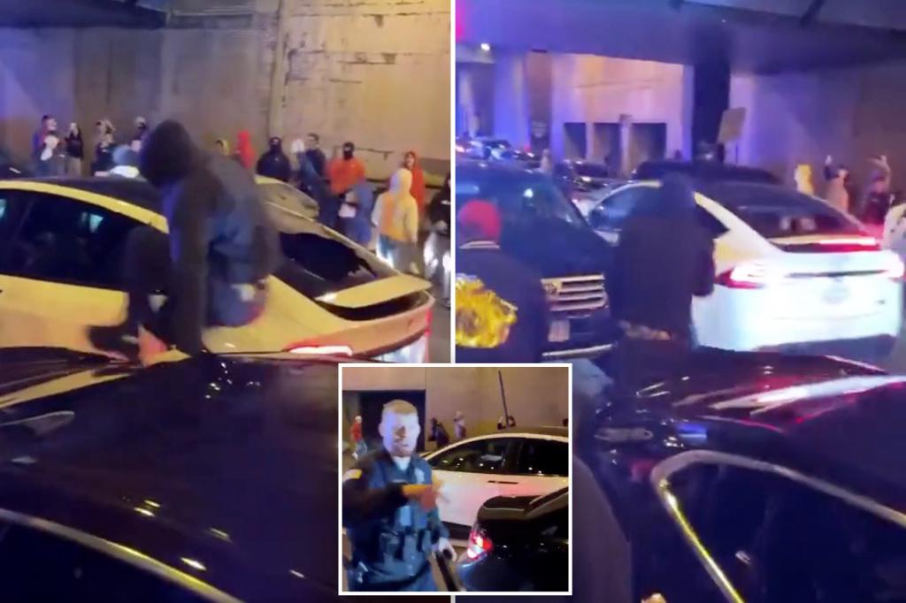 Shocking video shows the moment when Tesla is attacked by a mob of teenagers in Chicago