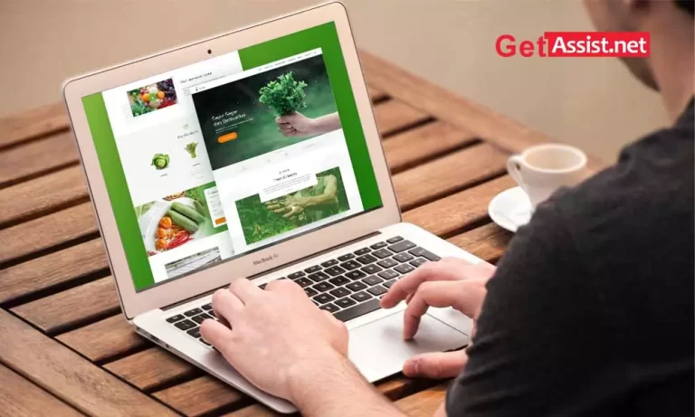 Successful creation of an agricultural website