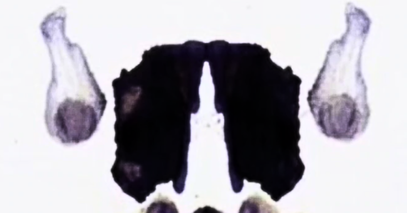 This optical illusion inspired by the Rorschach test will reveal your true personality