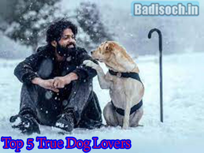 Top 5 True Dog Lovers