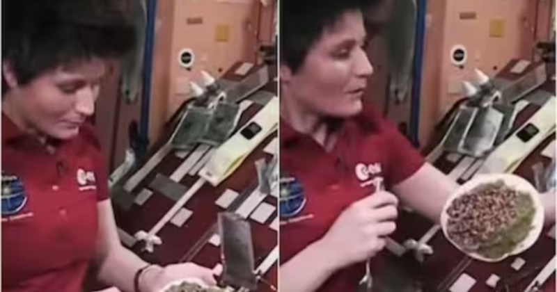 Watch: An astronaut makes a one-of-a-kind 'space omelet' aboard the International Space Station