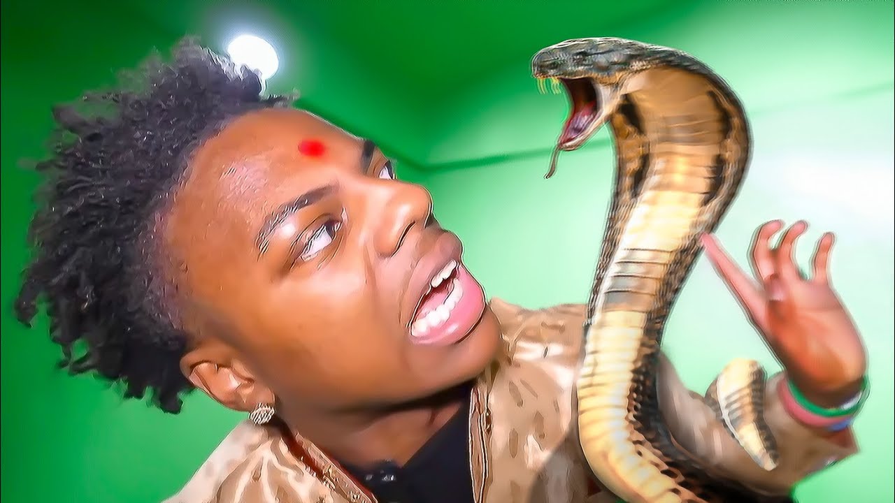 Watch: Speed ​​Gets Bitten By Snake While Filming In India