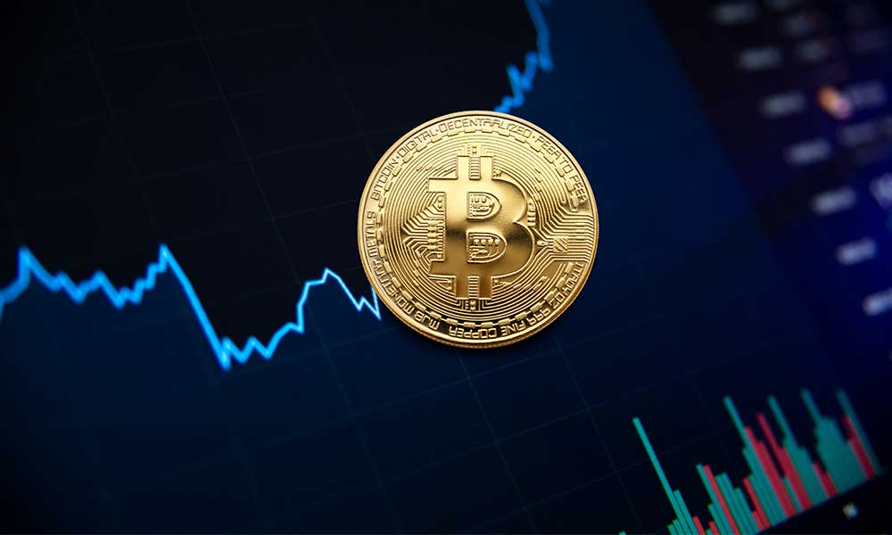 What factor characterizes the market value of a Bitcoin?