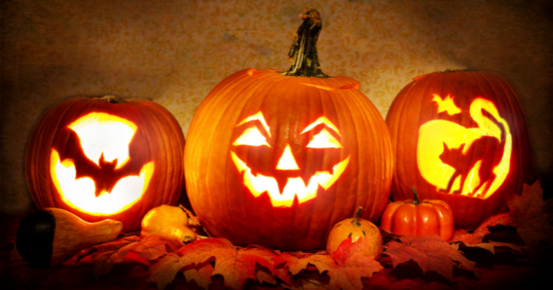 Will this year's Halloween pumpkins be bigger than usual?  Find out what's different this time