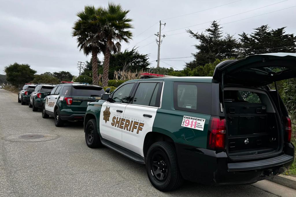 5-year-old boy fatally stabs twin in California home with 'small kitchen knife': sheriff