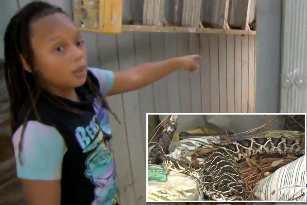 9-Year-Old Boy Mistakes Deadly Rattlesnake for 'Stuffed Animal' in Grandma's Backyard