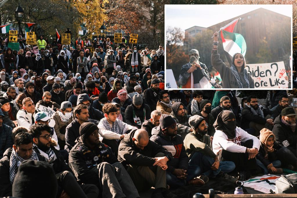 Around 2,000 pro-Palestinian protesters demand a "permanent end to the occupation" of Gaza and the dismantling of the Israeli government in New York's Washington Square Park.