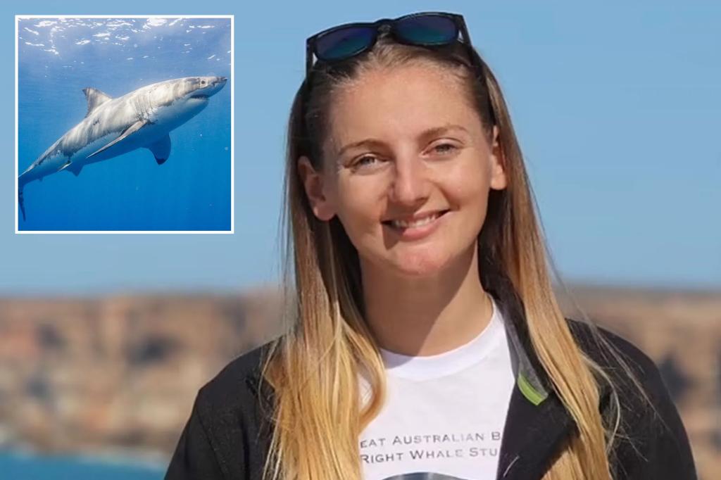 Australian diver, 32, bitten on face by shark, needed teeth surgically removed: report