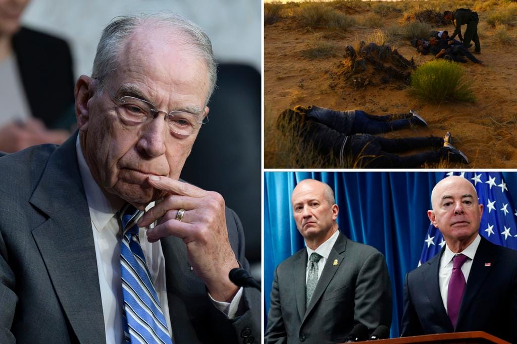 CBP took DNA samples from 37% of those who crossed the border illegally last year: Grassley
