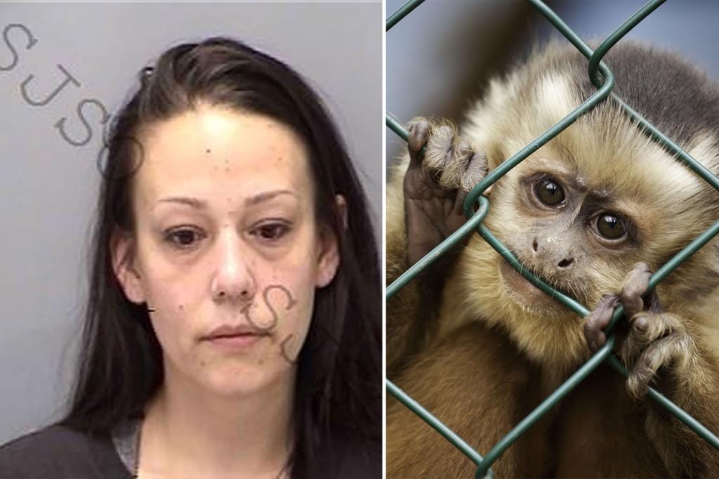Florida Woman Arrested for Conspiring to Create Sadistic 'Animal Crush' Monkey Torture Videos