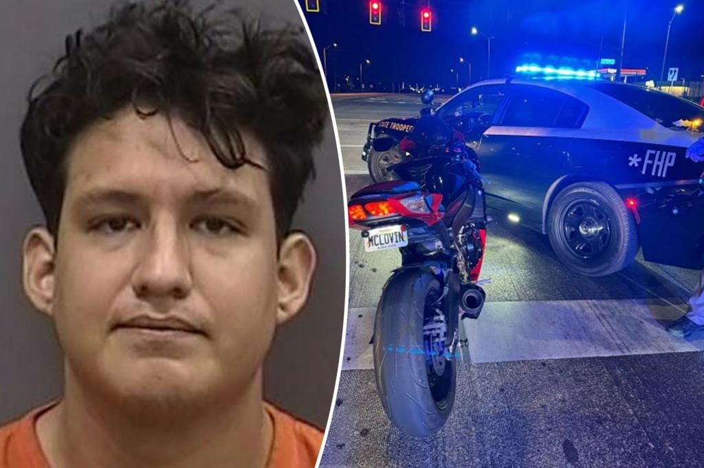 Florida man with fake 'MCLOVIN' license plate leads police on motorcycle chase at 110 mph, in 45 mph zone