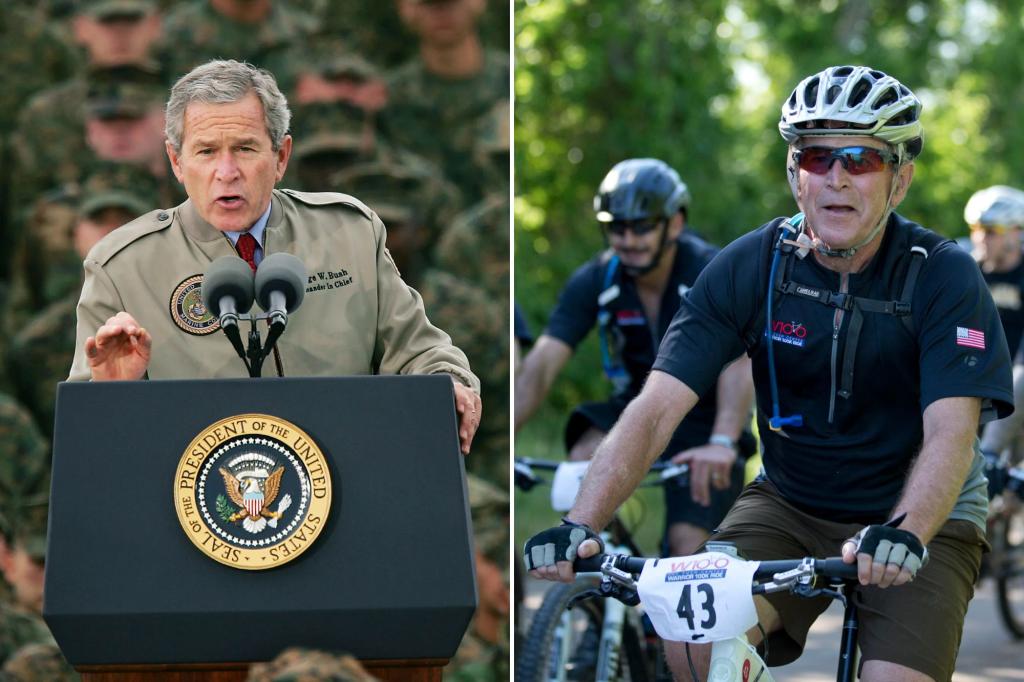 George W. Bush tells Americans to 'stay positive' in Veterans Day message as wars continue