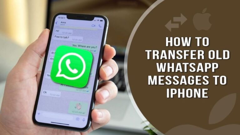 How to Transfer Old WhatsApp Messages to iPhone? [Step-By-Step Guide]