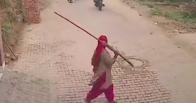 Internet shouts 'broom lady' supremacy as Haryana woman 'threatens' shooters with broomstick in viral video