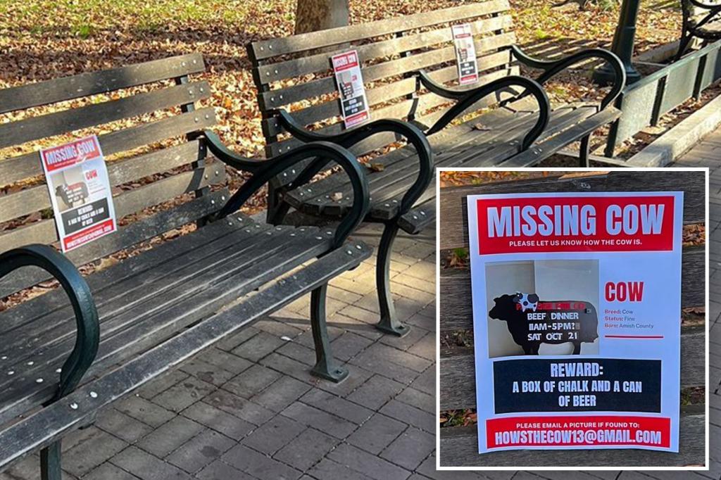 Israel-Hamas War Live Updates: Disgusting 'Missing Cow' Posters 'All Over Campus' at University of Pennsylvania: Photos on Social Media