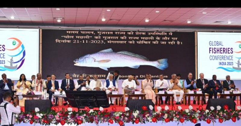 It's not gold, just Ghol!  This aquatic creature is now the official fish of the state of Gujarat and costs more than a car