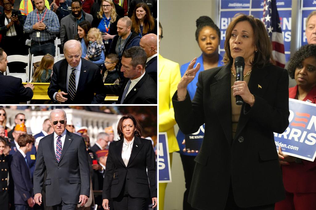 Kamala Harris says she and Biden will have to "earn re-election" among Black voters in 2024