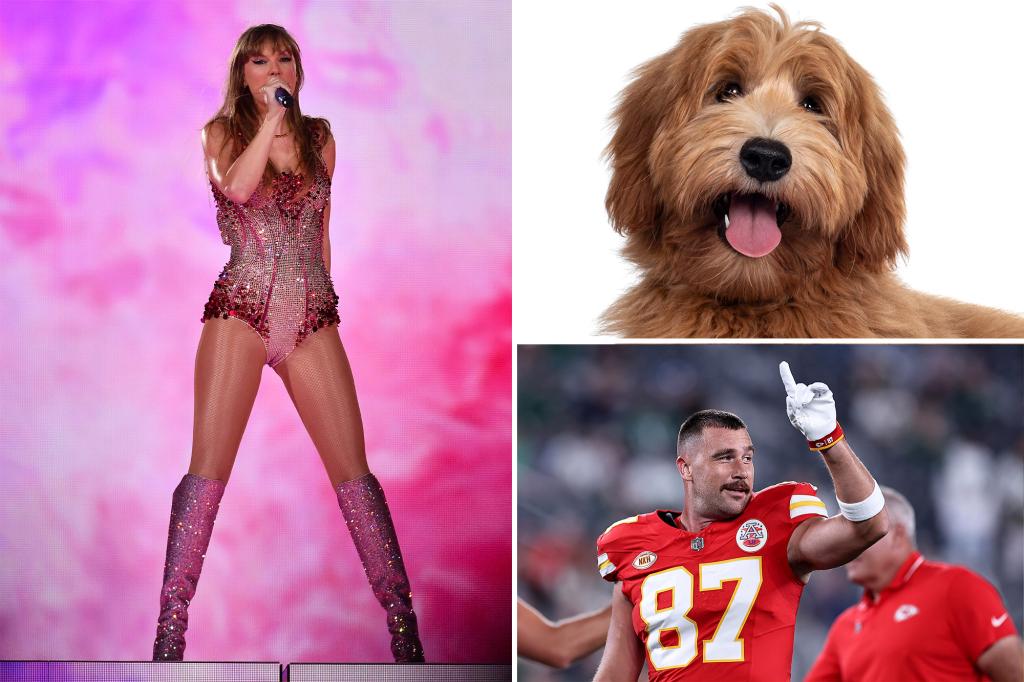 'Kelce' Becomes Top Trending Dog Name of 2023 Amid NFL Star's Romance with Taylor Swift