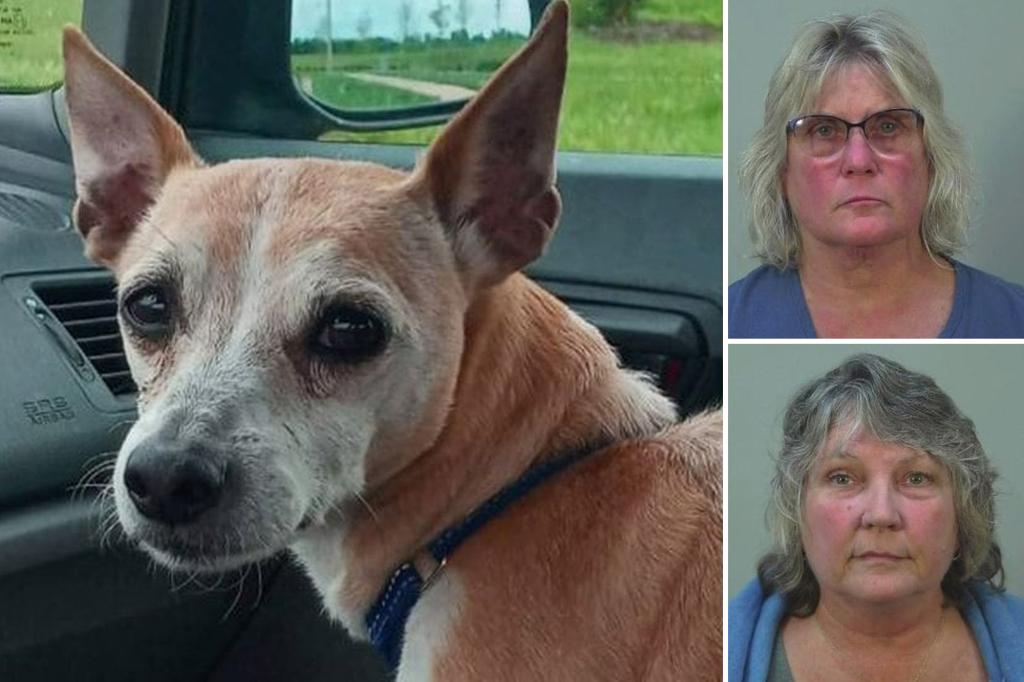 Landlords Admit Stolen Tenant's Dog in Lease Dispute, But One Year Later They Don't Go to Jail and the Dog is Still Missing