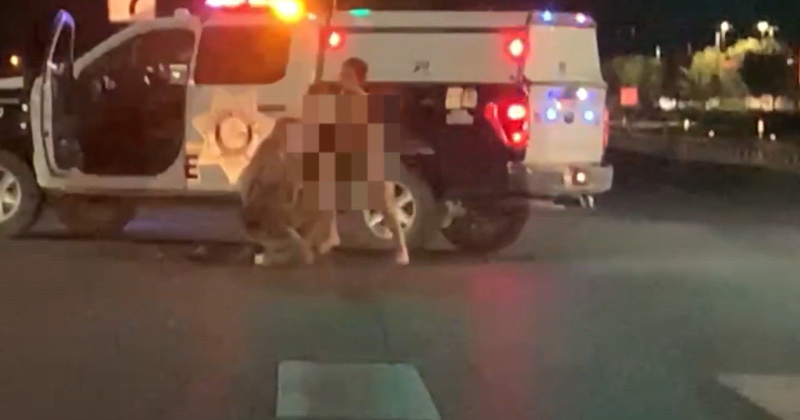 Naked man gets into altercation with Las Vegas police and escapes in stolen patrol car