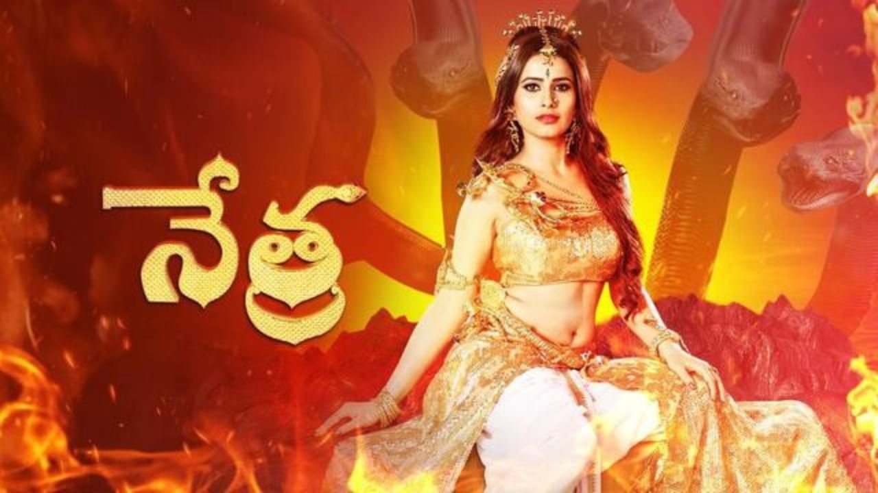 Nethra (Gemini TV) Show Cast, Schedule, Story, Real Name, Wiki & More