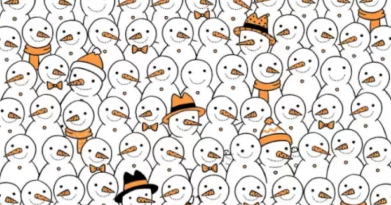 Optical Illusion Challenge: Identify the five noseless snowmen hidden in this image in less than 16 seconds