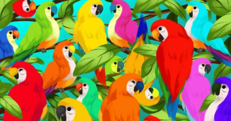 Optical illusion: find the chameleon hidden among the parrots
