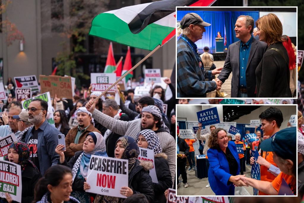 Protesters disrupt California Democratic Convention, call on party to demand ceasefire in Gaza