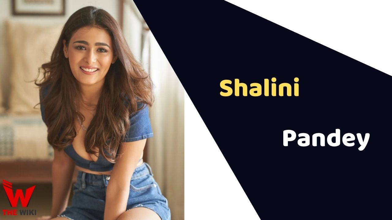 Shalini Pandey (Actress) Height, Weight, Age, Affairs, Biography & More