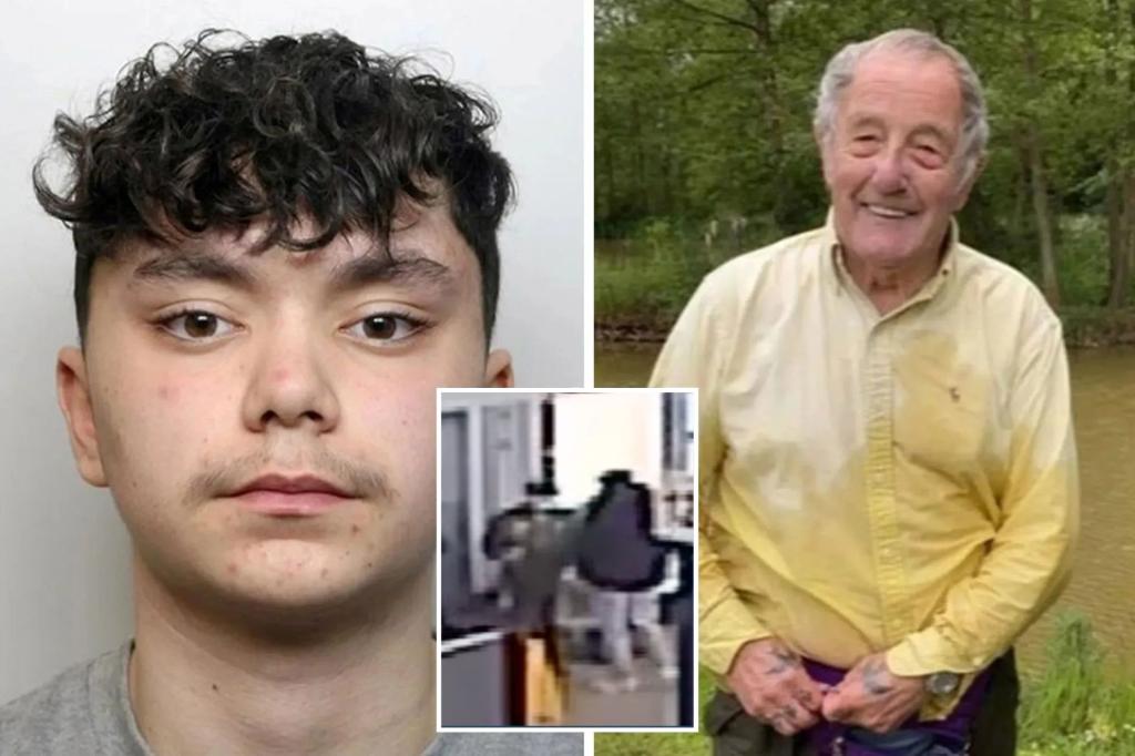 Shocking video shows the moment a British teenager kills an 82-year-old veteran with a single punch