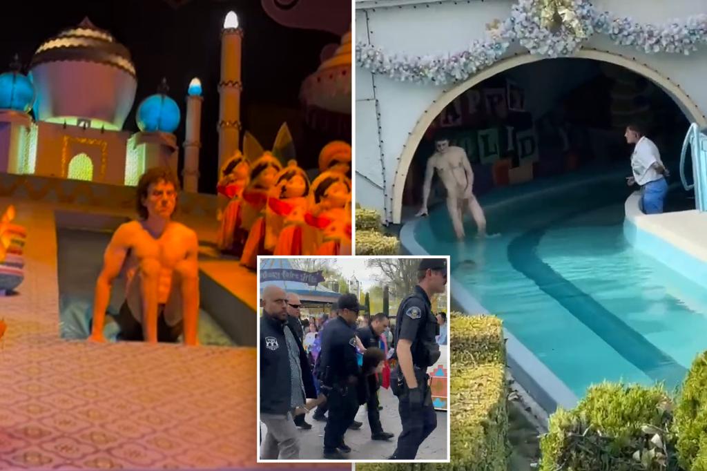 Streaker arrested after parading naked through Disneyland's 'It's a Small World' attraction