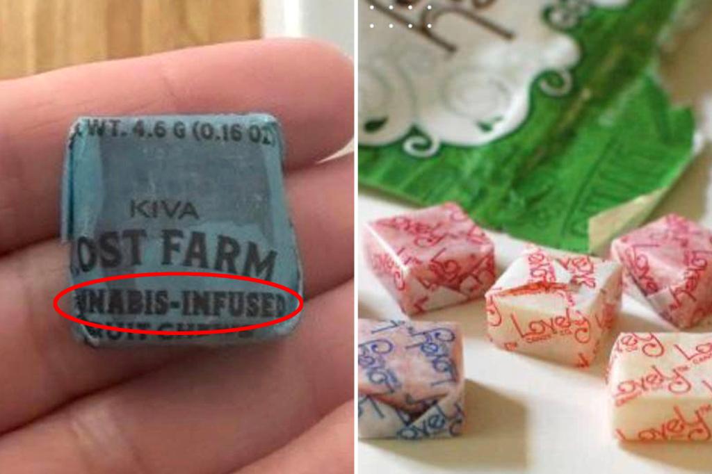 Student eats THC-laced candy handed out at California school's Halloween event