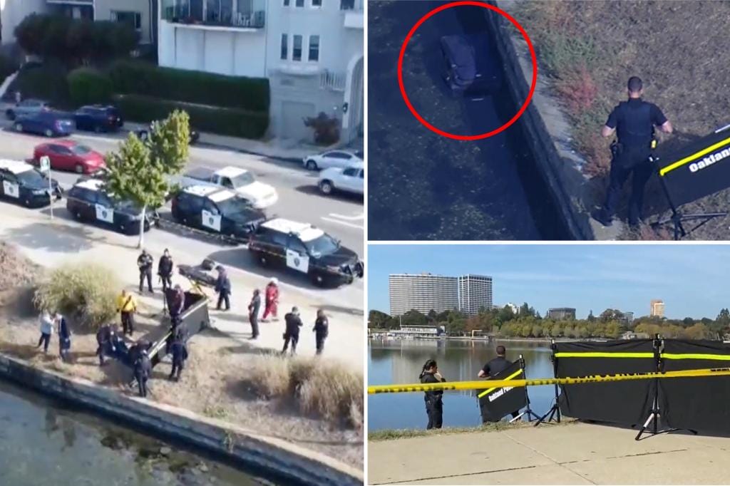 Volunteers cleaning a lake in California find a murdered man stuffed in a suitcase